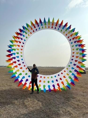 TiffyDance 20 Ft 3D Color Circle Kite Black