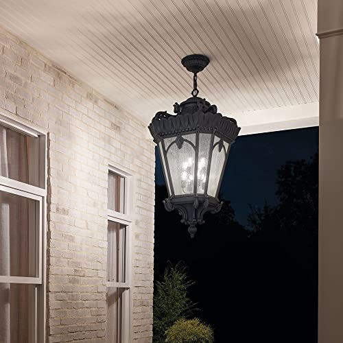 Bailey Street Home 8 Light Outdoor Ceiling Fixture Textured Black Finish