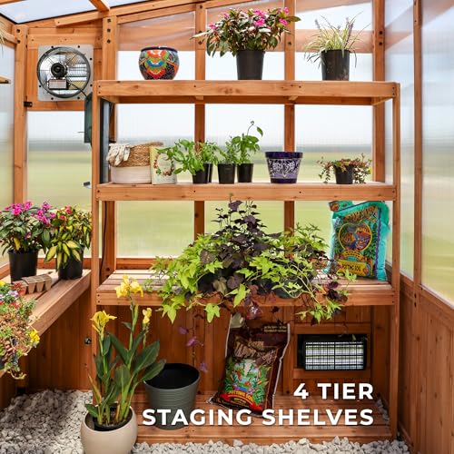 Backyard Discovery Poppy 11' x 7' Cedar Wood Greenhouse Kit Light Brown