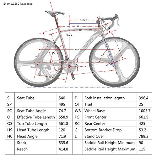 EUROBIKE Dual Disc Brake XC550 Road Bike 21 Speed Shifting System 54Cm Steel Frame 700C 3-Spoke Wheels Bicycle Blackwhite