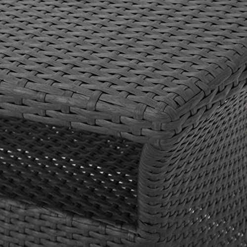 Christopher Knight Home Salem Chaise Lounge Set, 2-Piece Brown
