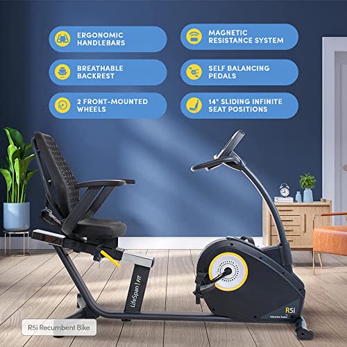 LifeSpan Fitness R5i Recumbent Stationary Bike Black