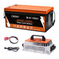 CHINS 36V 100Ah LiFePO4 Golf Cart Battery with Bluetooth & Charger