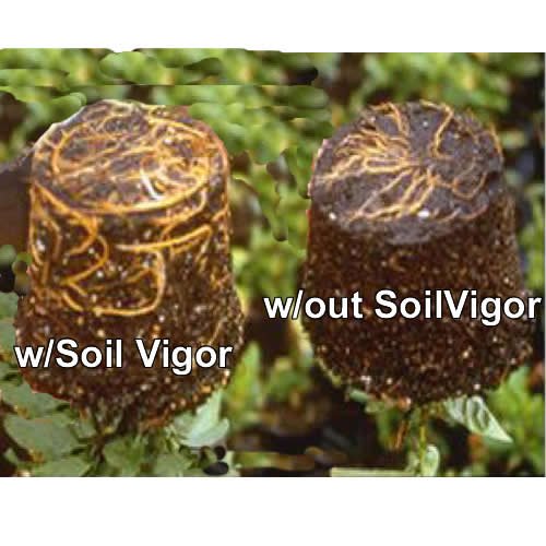 Soil Vigor Potassium Polymer Soil Moisture Retainer 45 Pounds White