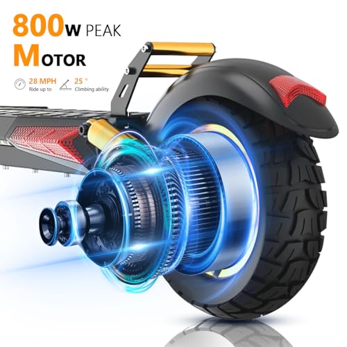 iENYRID Adults Electric Scooter 800W Motor Offroad Black