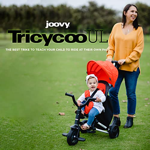 Joovy Tricycoo UL 8-Stage Kids Tricycle Forged Iron