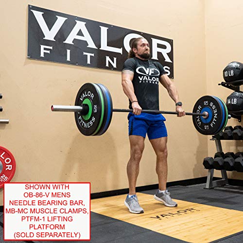 Valor Fitness BPP-180B Bumper Plate 180 lb Set Black