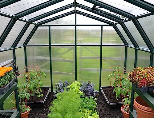 Palram Canopia Hobby Gardener Greenhouse 8' x 16' Dark Green