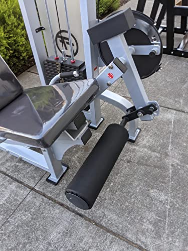 French Fitness Shasta Prone Leg Curl / Leg Extension (New)