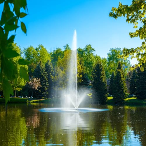Scott Aerator Skyward Fountain 1 HP 230V Pond Aerator