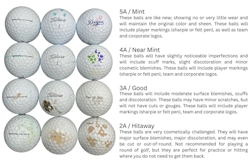 Golf Ball Planet Pro V1 2021 Mint/5A Used Golf Balls White