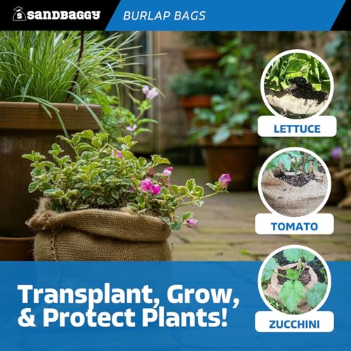 Sandbaggy Burlap Bags 22" x 36" Food Grade Pack of 500 Brown