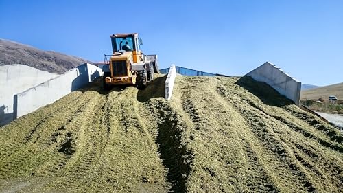 Farm Plastic Supply String Reinforced Silage Cover Black/White 6 Mil 66' x 50'