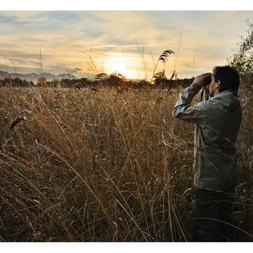 SWAROVSKI OPTIK SLC Binoculars 10x56