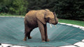 Loop-Loc 12x24 Rectangle Safety Pool Cover Green