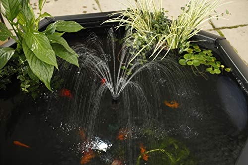 Aquagarden Complete Raised Window Pond Kit - Octagon Mocha