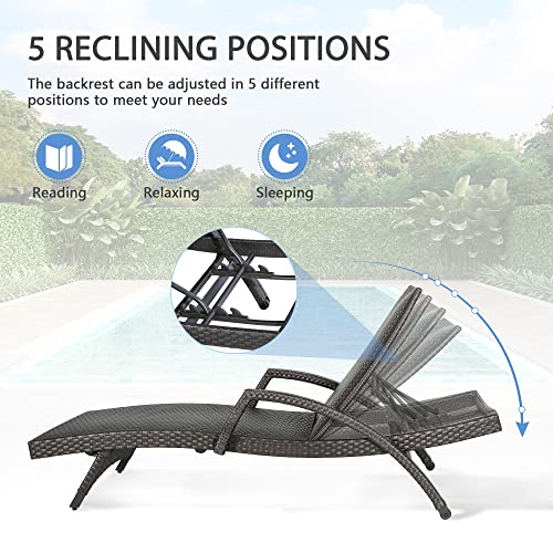 Iwicker Aluminum Outdoor Chaise Lounges Set of 2 Dark Brown