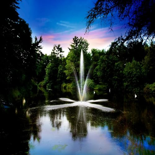 Scott Aerator Clover Big Shot Fountain 1 HP 115V Black