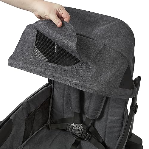 Radio Flyer Voya 2-Seater Stroller Wagon Gray