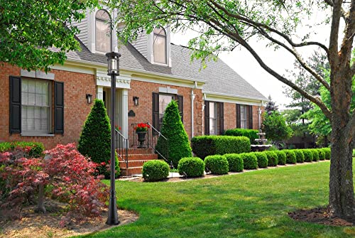 Z-Lite 1 Light Outdoor Post Mounted Fixture Oil Rubbed Bronze