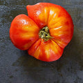 Mountain Valley Seed Company Tomato Seeds - Flame 1 Lb Non-GMO Heirloom Annual