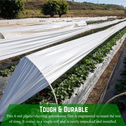 Farm Plastic Supply White Greenhouse Plastic Sheeting 6 Mil 40' x 80' UV Resistant