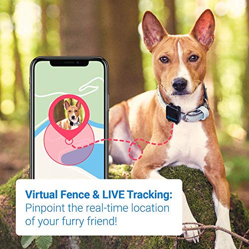 Tractive 3G GPS Dog Tracker Black