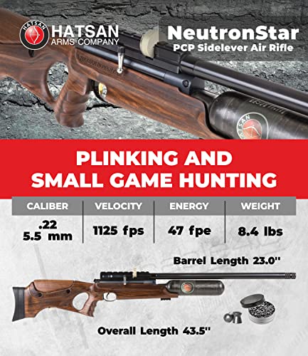 Wearable4U Hatsan NeutronStar .22 Cal PCP Air Rifle Bundle with 250 Pellets and 100 Paper Targets