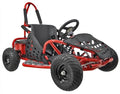 HHH Go-Bowen 1000W Brushless Kids GoKart 4 Wheeler Sporty Red
