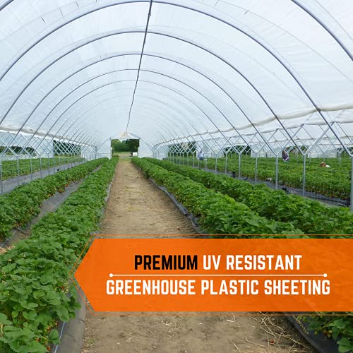 Farm Plastic Supply Clear Greenhouse Plastic Sheeting 8 mil 50' x 70' White