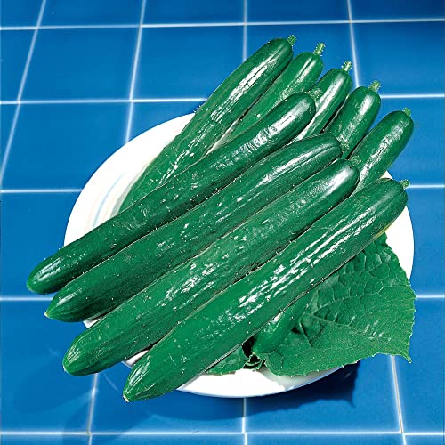 Kitazawa Seed Company Southern Delight Cucumber Seeds Hybrid Non-GMO 4 Oz