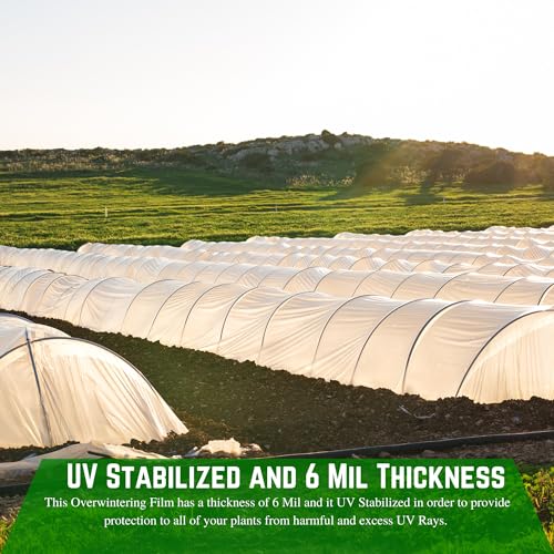 Farm Plastic Supply String Reinforced 6 Mil White Plastic Sheeting 20' x 150' White