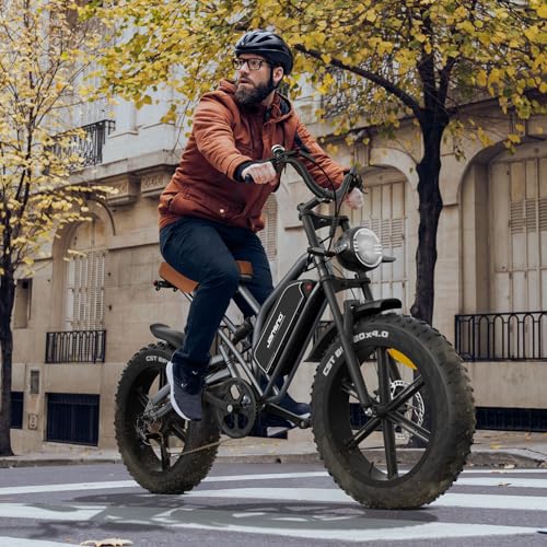 EOSBIKE JANSNO Electric Bike for Adults 20" x 4.0 Fat Tire Electric Bicycle Black