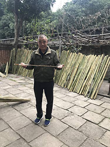 Zhu Tonkin Bamboo Rods