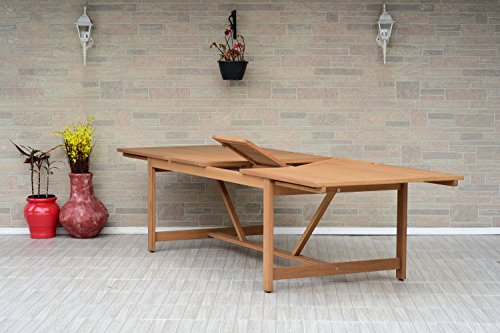 Brampton Patio 9 Piece Outdoor Eucalyptus Extendable Dining Set Teak Finish