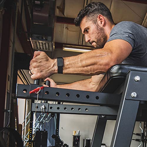Titan Fitness H-PND Reverse Hyperextensions Lower Body Machine 550 LB Rated