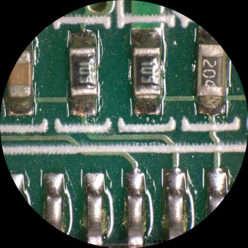 AmScope Digital Binocular Stereo Microscope with 5MP Camera