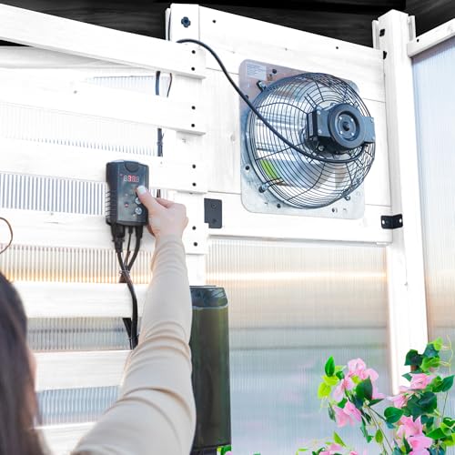 Backyard Discovery Willow 9' x 6' White Cedar Wood Greenhouse Kit with Exhaust Fan and Shelves White