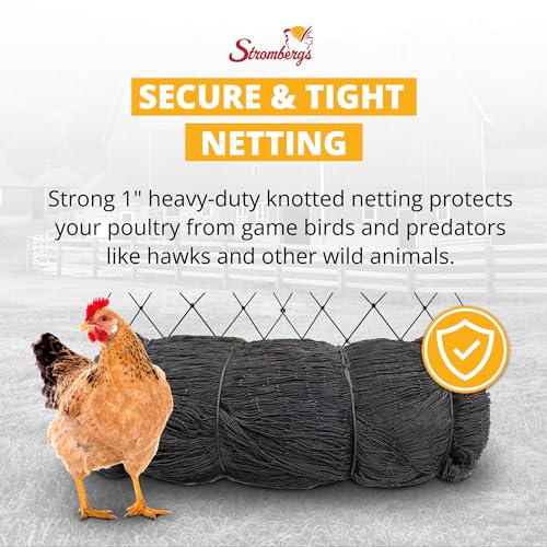 Stromberg's 1" Knotted Game Bird Netting Black - Heavy Duty, UV-Resistant, 85 lb Break Strength, 50' x 100'