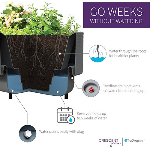 Crescent Garden Nest Indoor/Outdoor Raised Garden-Bed Planter Box 22-Inch x 44-Inch Olive