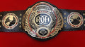 Ray's ROH World Heavy Weight Wrestling Champion Replica Belt Adult Size Black