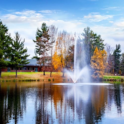 Scott Aerator Skyward Fountain 1 HP 230V Pond Aerator