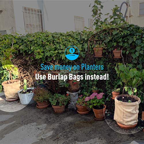 Sandbaggy Large Burlap Bags 18" x 30" for Planting/Gardening (Pack of 500)