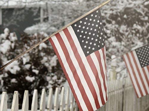 Eder Flag Endura-Nylon Flag with Vertical Stitching & Reinforced Corners White 15x25