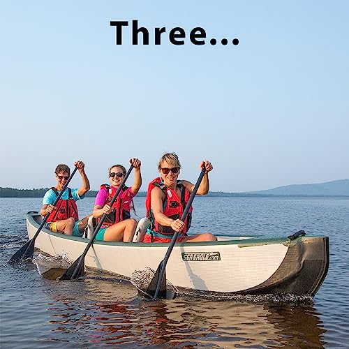 Sea Eagle TC16 Inflatable Canoe with Wood Web Seats, Pump, Bag & Optional Paddles Green and Gray