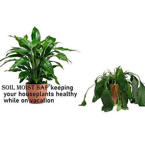Soil Moist SAP Super Absorbent Polymer Water Retaining Crystal for Plants White 45 Pounds