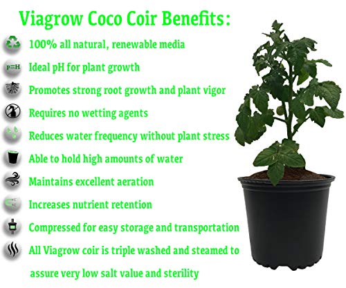 Viagrow Coconut Soilless Grow Media 11 lb 5KG Block