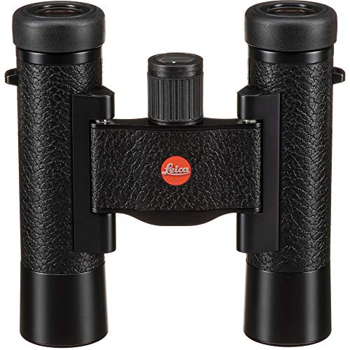 Leica 10x25 Ultravid Blackline Binoculars with Backpack, Monopod, Cleaning Set, and Accessories Black