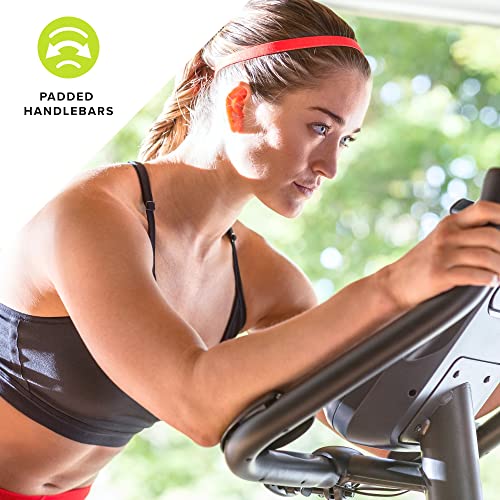 Schwinn Fitness 170 Upright Bike Grey