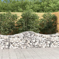 Arched Gabion Baskets 4 pcs 78.7"x19.7"x23.6"/31.5" Galvanized Iron - Outdoor & Indoor Self-Watering Planters, White/Black/Others